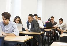 undergraduate bachelor professional